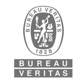 BV Logo Gris