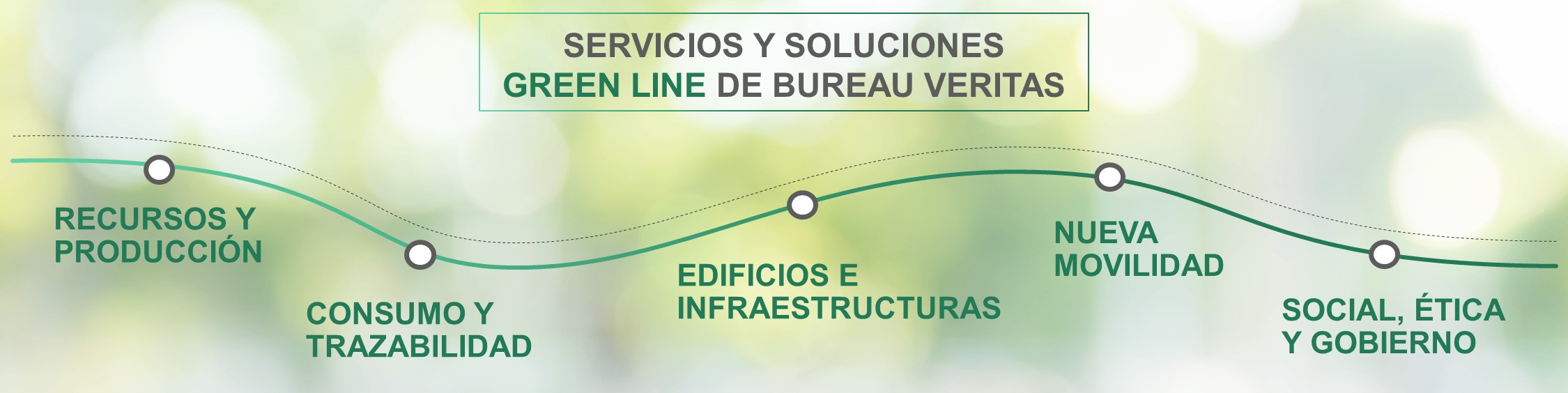 Green Line BV Colombia